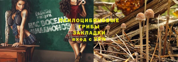 гидра Алексин