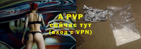 гидра Алексин